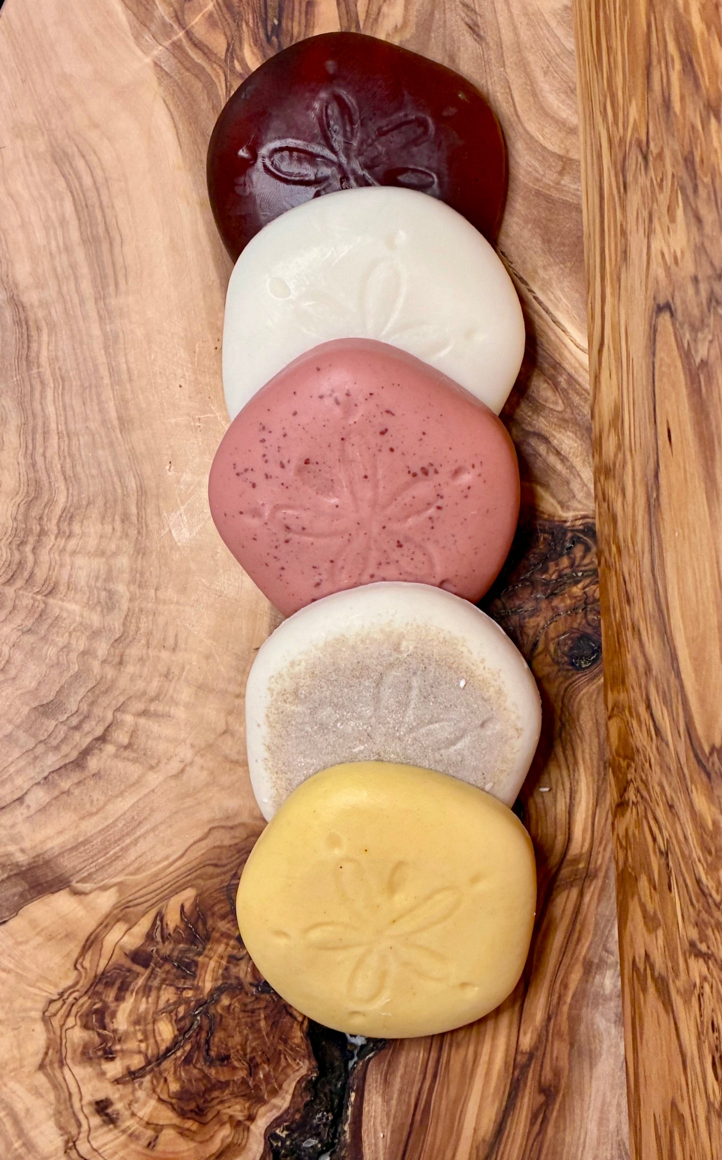 Sand Dollar Sampler
