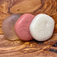Sand Dollar Sampler